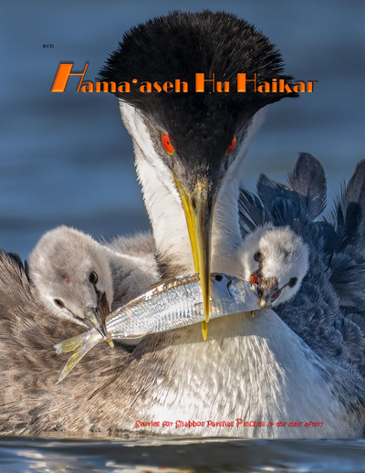 Hama'aseh Hu Haikar — Parshas Pinchas