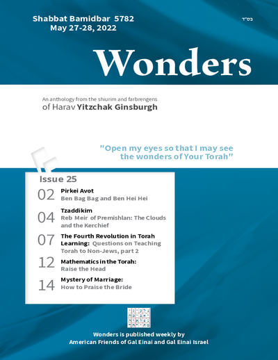 Wonders — Parshas Bamidbar