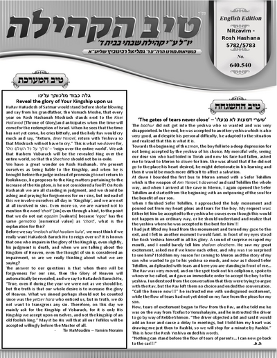 טיב הקהילה English — Parshas Nitzavim