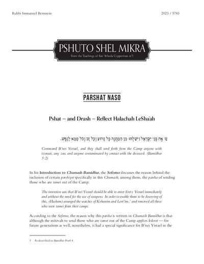 Meshech Chochma — Parshas Naso