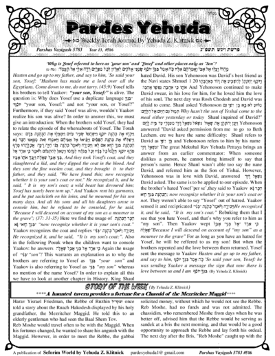 Pardes Yehuda — Parshas Vayigash