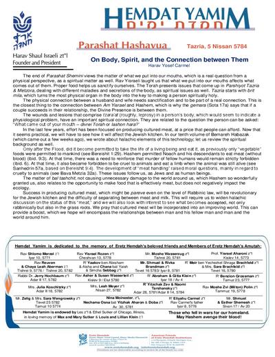 PDF Preview