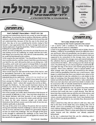 טיב הקהילה English — Parshas Bamidbar