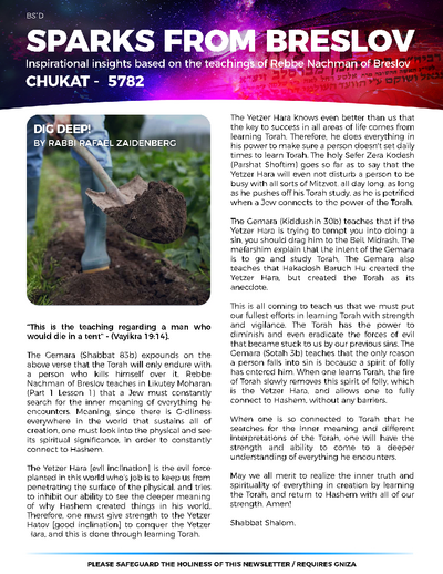 Sparks from Breslov — Parshas Chukas