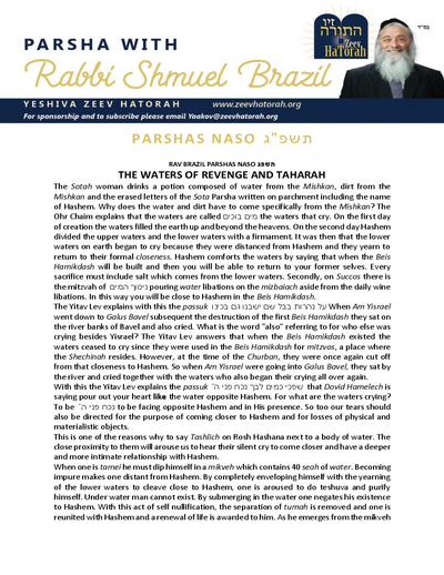 Parsha with Rabbi Shmuel Brazil — Parshas Naso