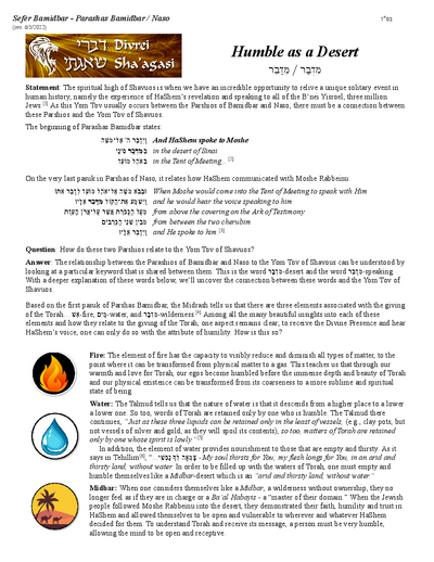 Divrei Shaagasi — Parshas Bamidbar