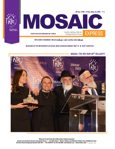 Mosaic Express — Parshas Bamidbar
