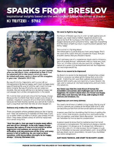 Sparks from Breslov — Parshas Ki Teitzei