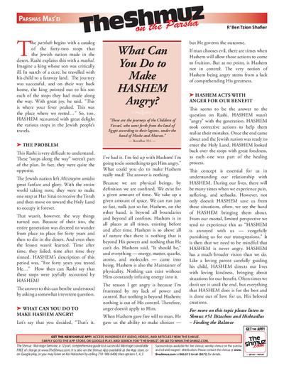 The Shmuz — Parshas Matos-Massei