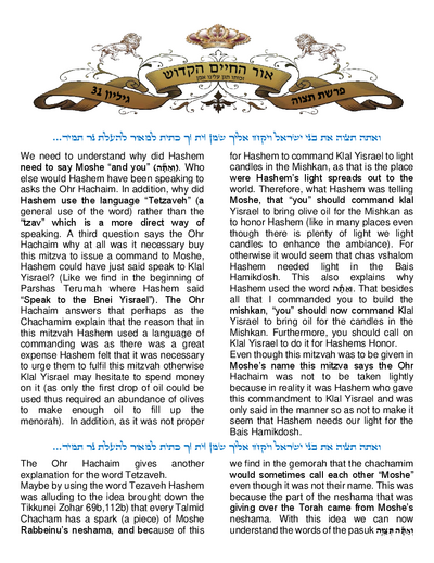Ohr Hachaim Hakadosh — Parshas Tetzaveh
