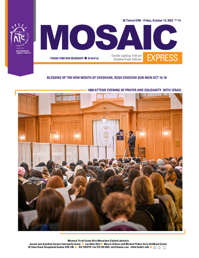 PDF Preview