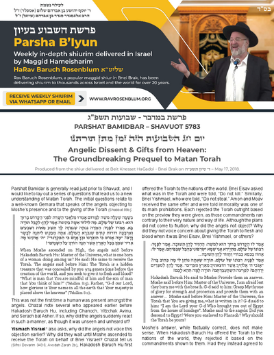 Torah Papers — Parshas Bamidbar