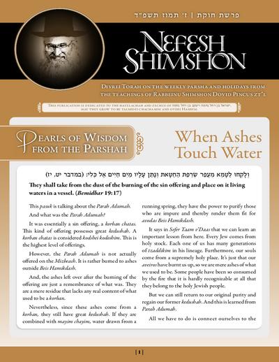 Nefesh Shimshon — Parshas Chukas