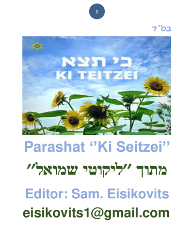 Parsha Plus — Parshas Ki Teitzei