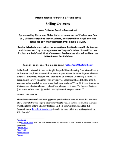 PDF Preview