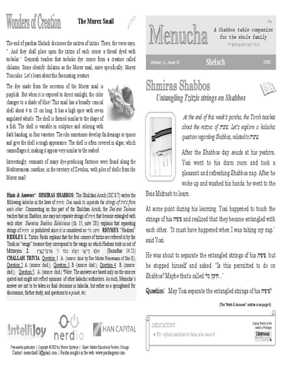 Menucha Magazine — Parshas Shlach