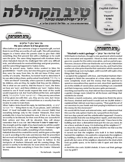 טיב הקהילה English — Parshas Vayechi