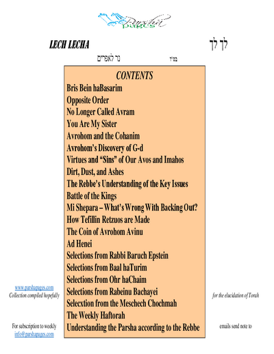 PDF Preview