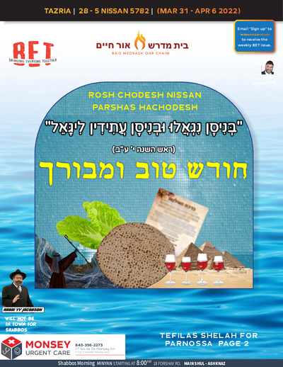 BET Journal — Parshas Tazria