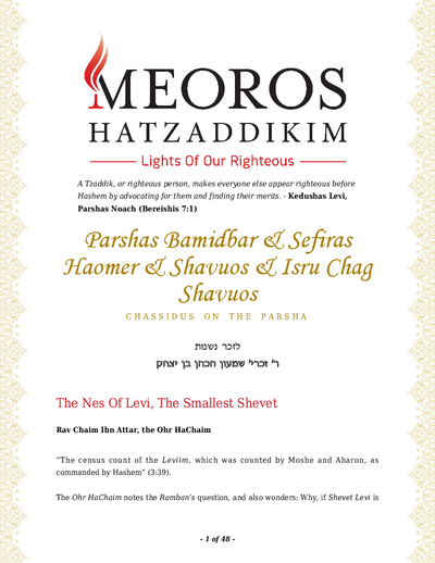 Me'oros Hatzaddikim — Parshas Bamidbar