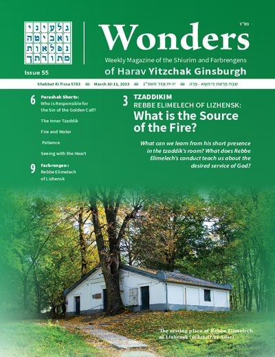 Wonders — Parshas Ki Sisa