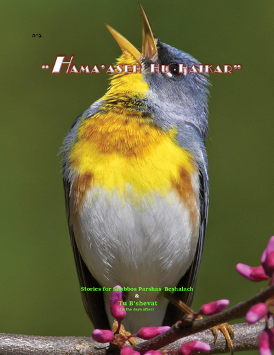 PDF Preview