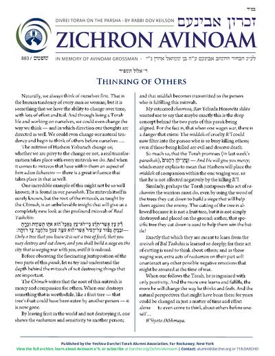 Zichron Avinoam — Parshas Shoftim