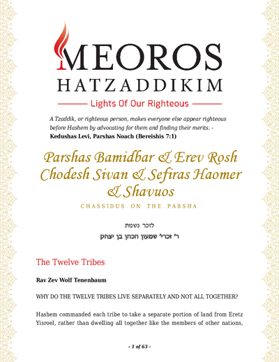 Me'oros Hatzaddikim — Parshas Bamidbar