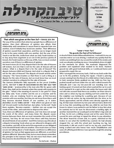 טיב הקהילה English — Parshas Chukas