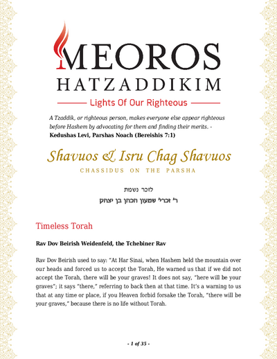 Me'oros Hatzaddikim — Parshas Naso