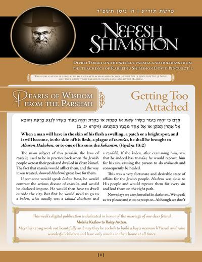 Nefesh Shimshon — Parshas Tazria