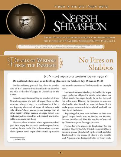 Nefesh Shimshon — Parshas Vayak'hel