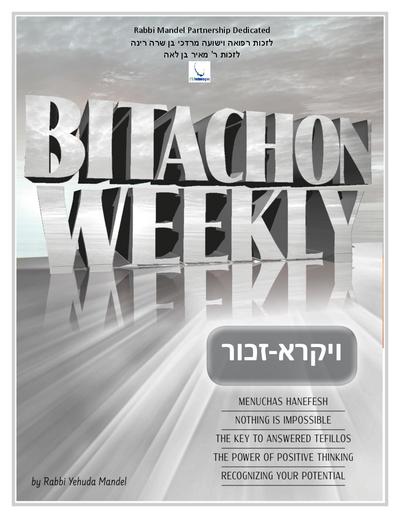 PDF Preview