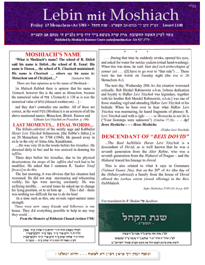 PDF Preview