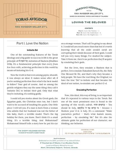 PDF Preview