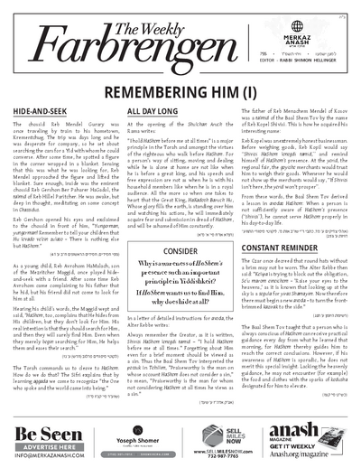 PDF Preview