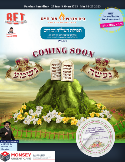 BET Journal — Parshas Bamidbar