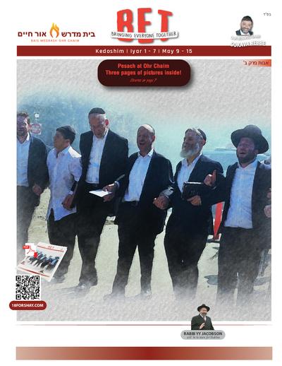 PDF Preview