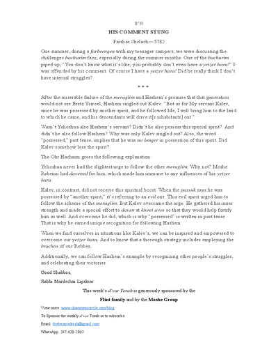 The Beis Medrash — Parshas Shlach