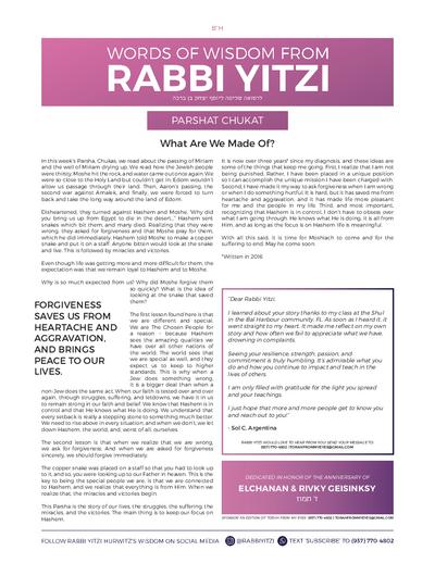 Words of Wisdom from Rabbi Yitzi — Parshas Chukas