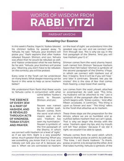 Words of Wisdom from Rabbi Yitzi — Parshas Vayechi