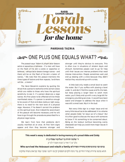 Torah Lessons for the Home — Parshas Tazria