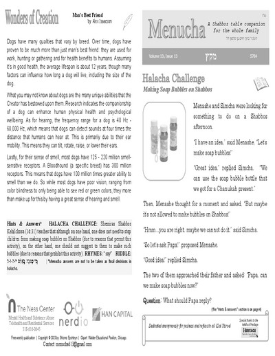 Menucha Magazine — Parshas Mikeitz