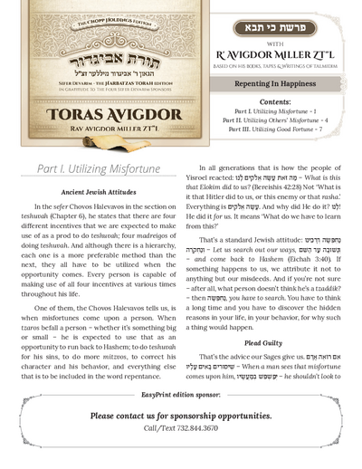 PDF Preview