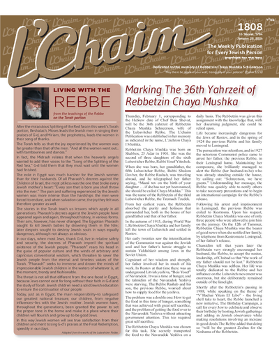 PDF Preview