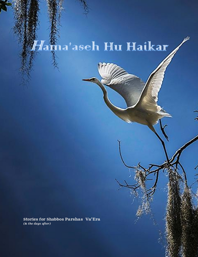 Hama'aseh Hu Haikar — Parshas Va'eira