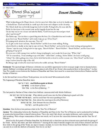 Divrei Shaagasi — Parshas Bamidbar