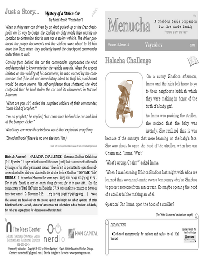 Menucha Magazine — Parshas Vayeishev