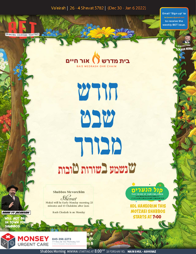 BET Journal — Parshas Va'eira