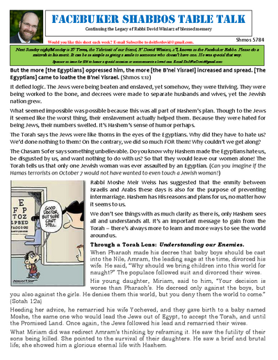 PDF Preview